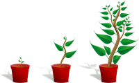 Growing-plant.png